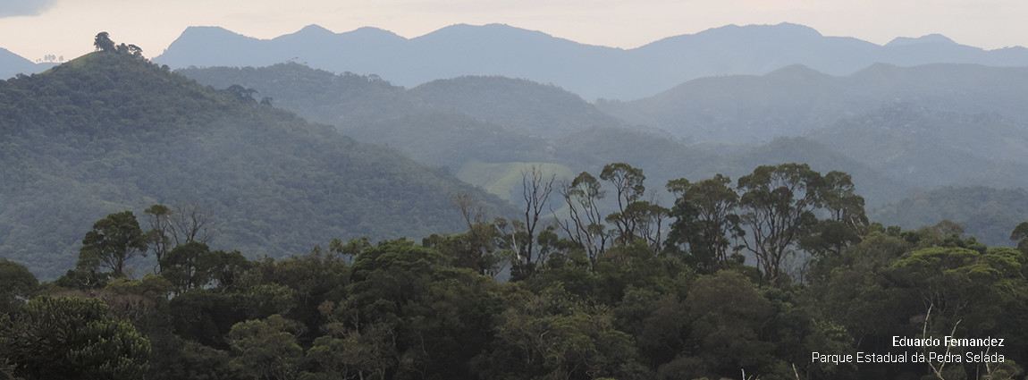 Parque Estadual da Pedra Selada
