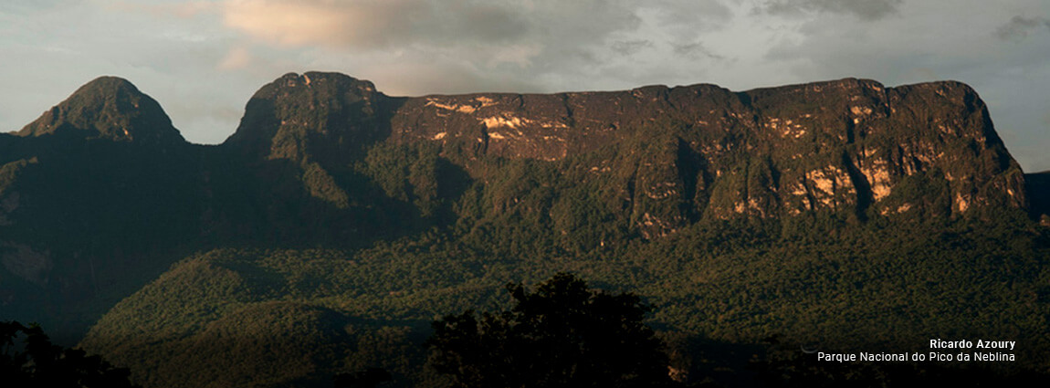 Parque Nacional do Pico da Neblina