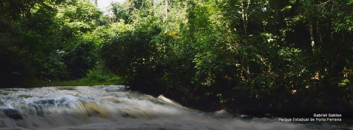Parque Estadual de Porto Ferreira