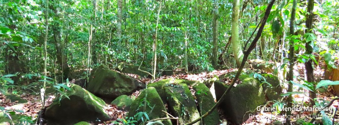 Reserva Biológica do Uatumã