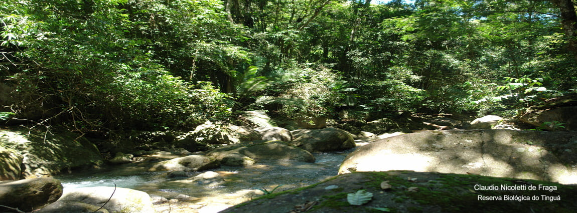 Reserva Biológica do Tinguá