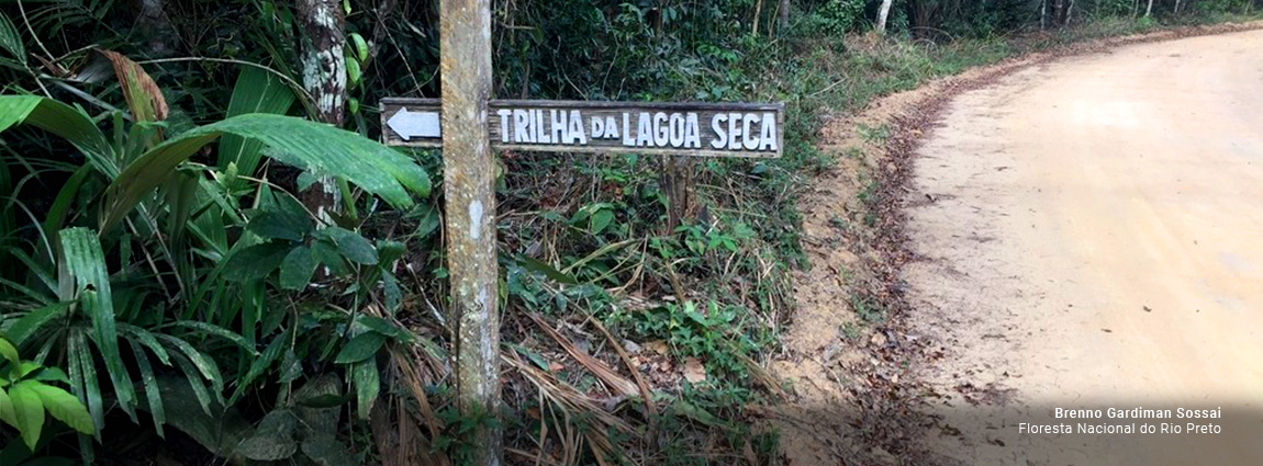 Floresta Nacional do Rio Preto
