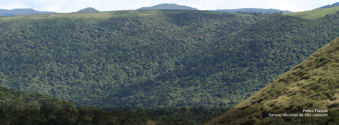 Parque Nacional de São Joaquim
