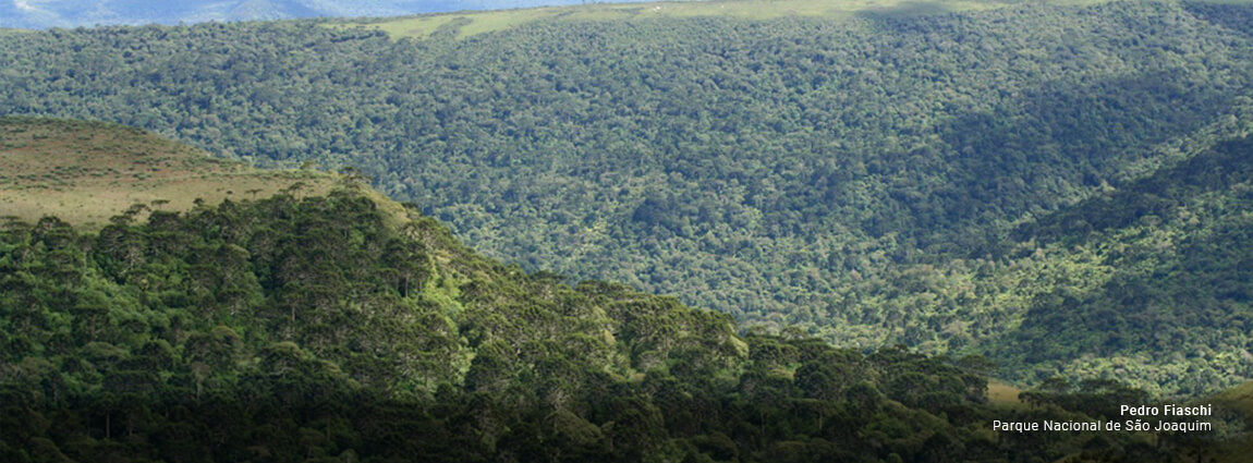 Parque Nacional de São Joaquim