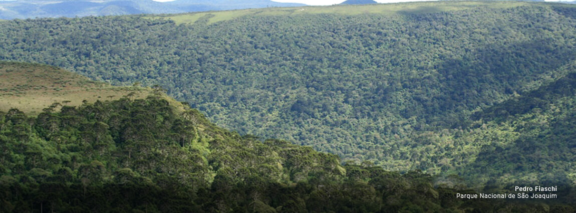 Parque Nacional de São Joaquim