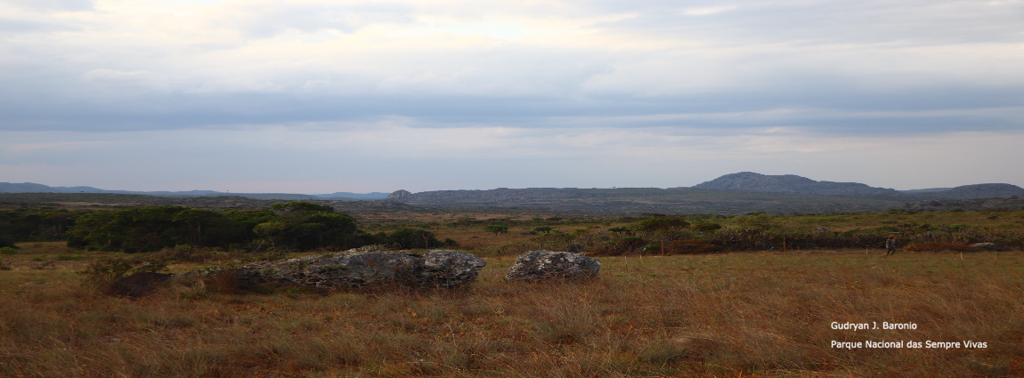 Parque Nacional das Sempre Vivas