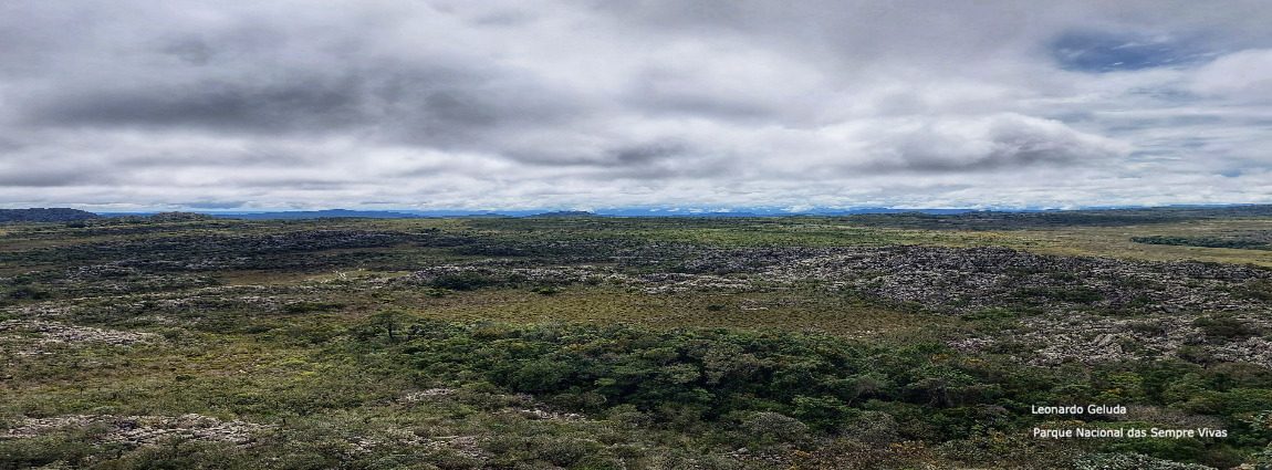 Parque Nacional das Sempre Vivas