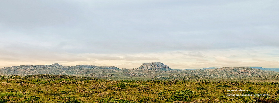 Parque Nacional das Sempre Vivas