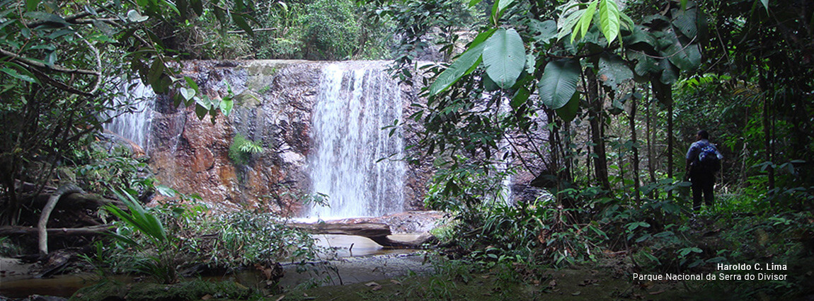 Parque Nacional da Serra do Divisor
