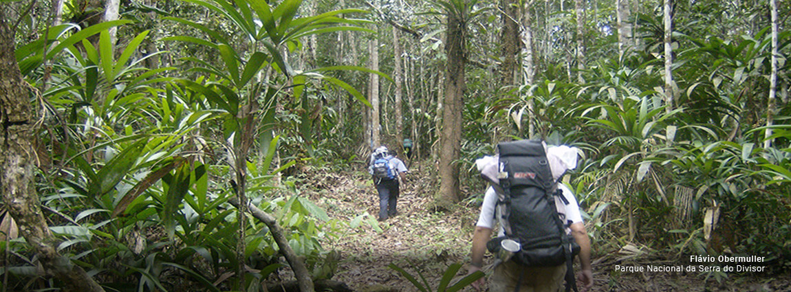 Parque Nacional da Serra do Divisor