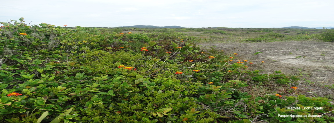 Parque Nacional do Superagui