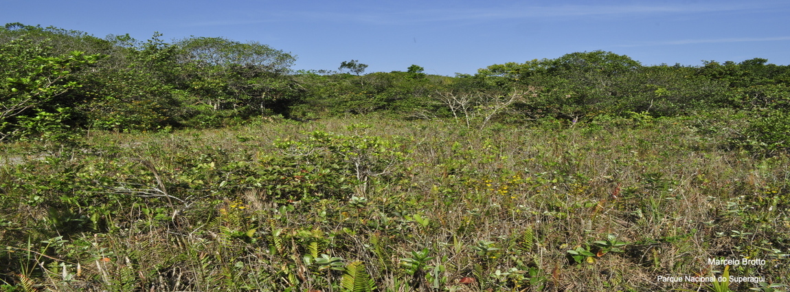 Parque Nacional do Superagui