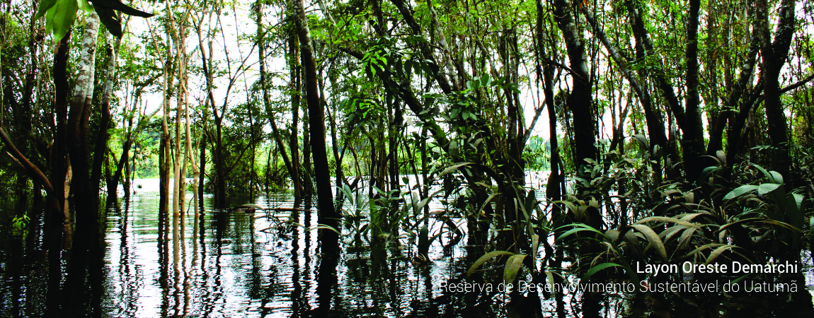 Reserva de Desenvolvimento Sustentável do Uatumã