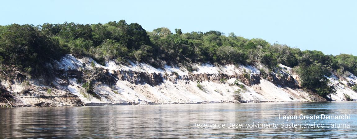 Reserva de Desenvolvimento Sustentável do Uatumã