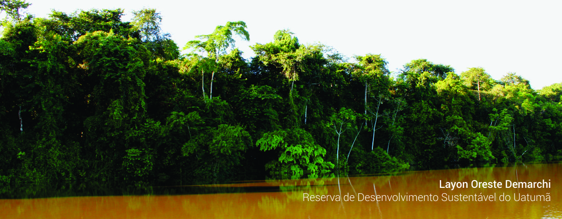 Reserva de Desenvolvimento Sustentável do Uatumã