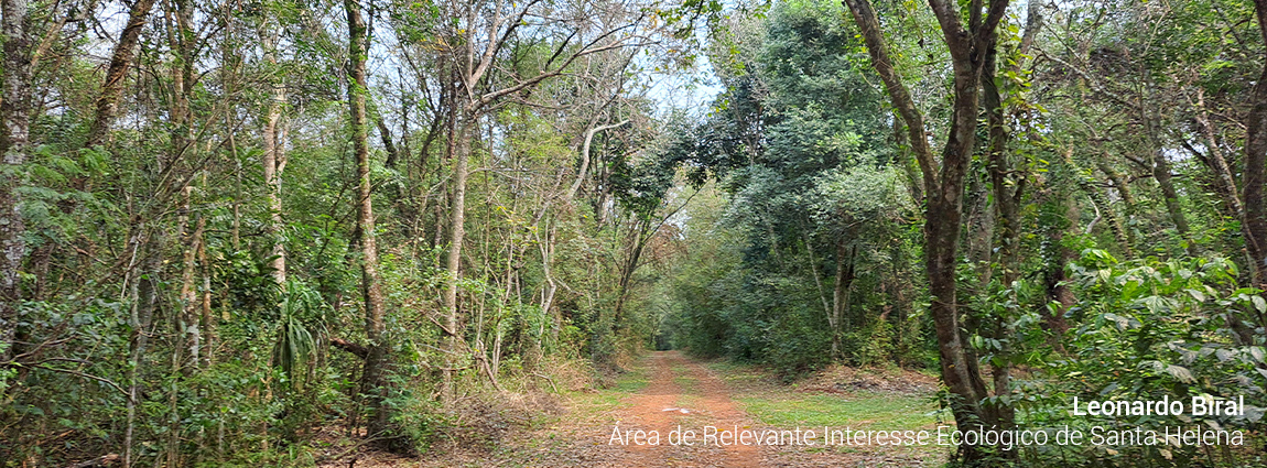 Área de Relevante Interesse Ecológico de Santa Helena