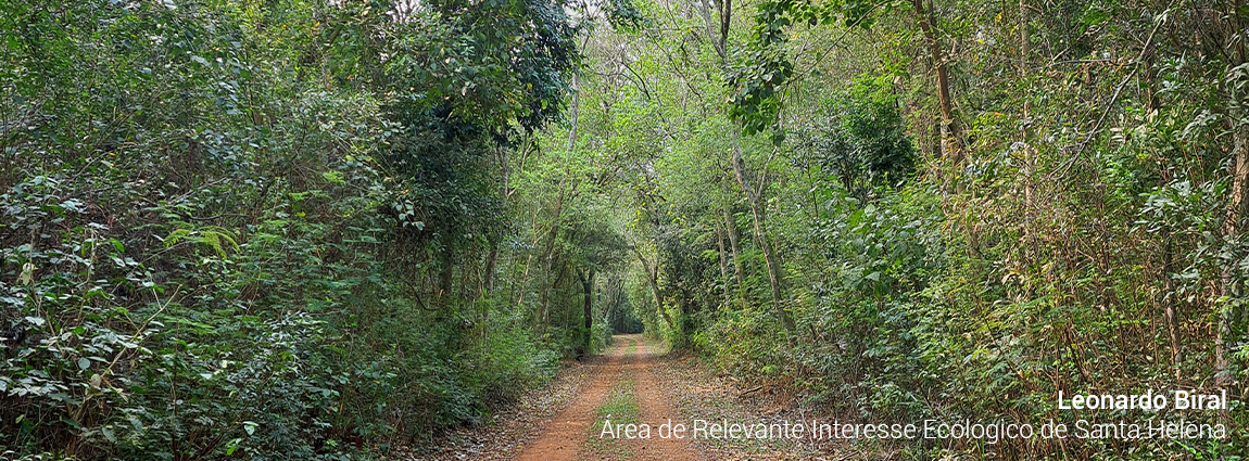 Área de Relevante Interesse Ecológico de Santa Helena