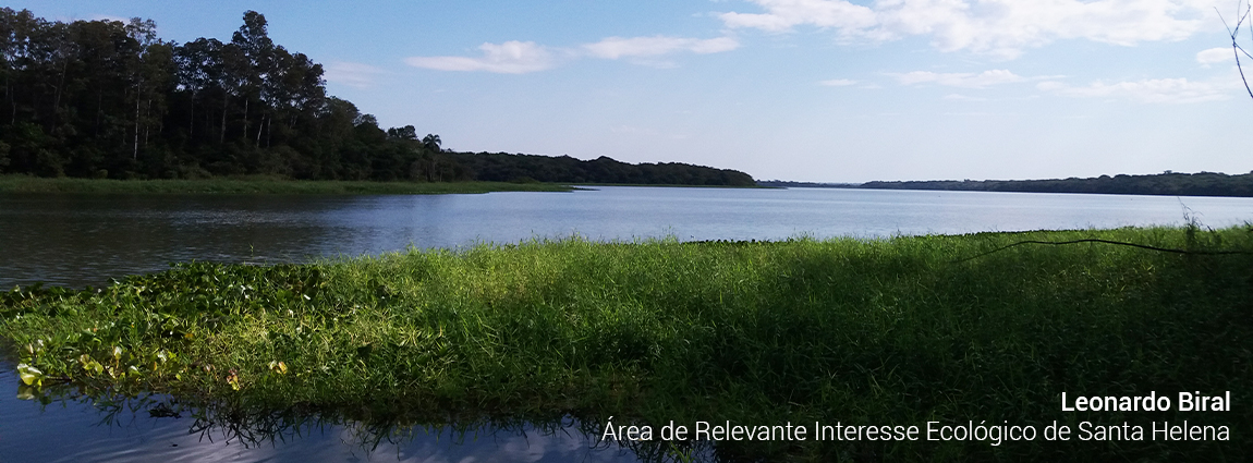 Área de Relevante Interesse Ecológico de Santa Helena