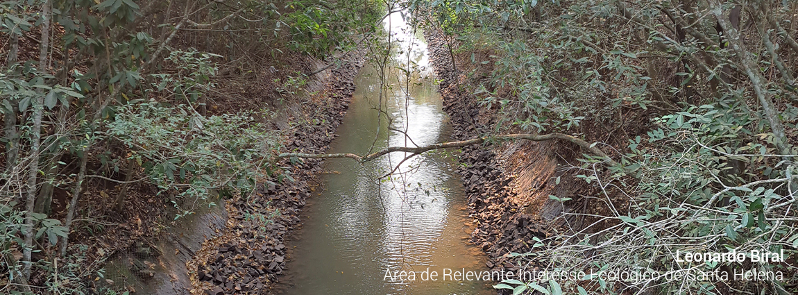 Área de Relevante Interesse Ecológico de Santa Helena
