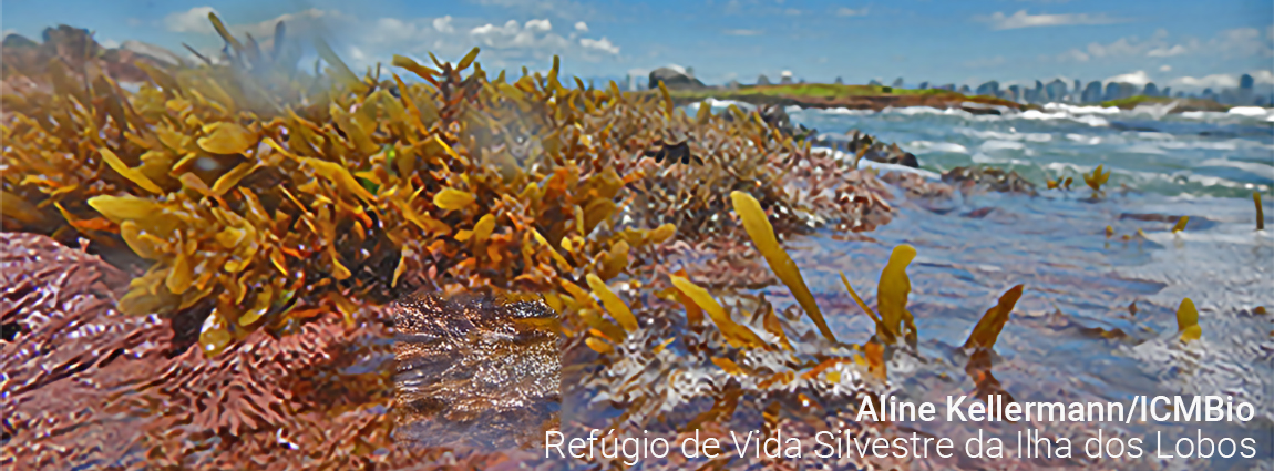 Refúgio de Vida Silvestre da Ilha dos Lobos