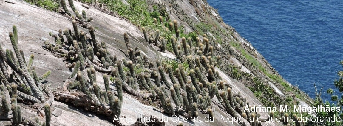 Área de Relevante Interesse Ecológico Ilhas da Queimada Pequena e Queimada Grande